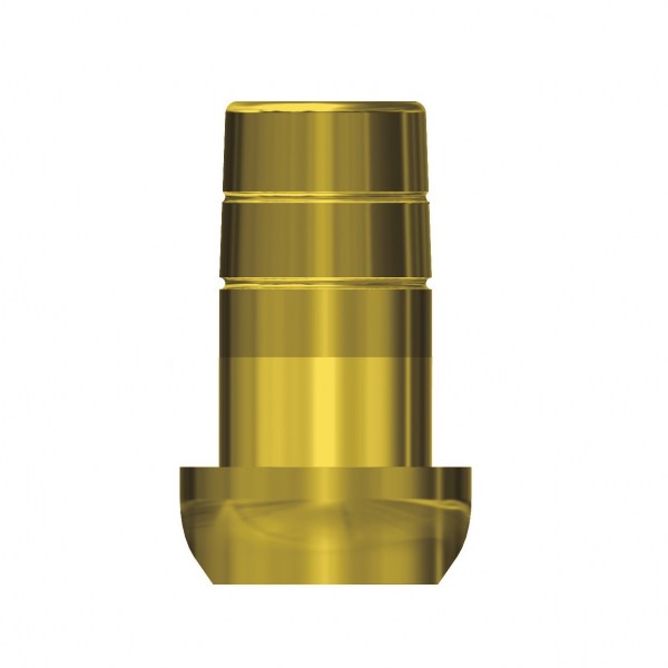 BRANEMARK  CONVERTITORE RUOTANTE NEW H2.5_GOLD copia4